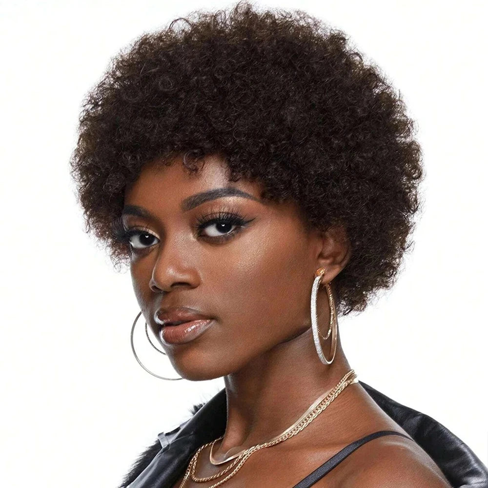 Afro Kinky Curly Black Natural Human Hair Wig