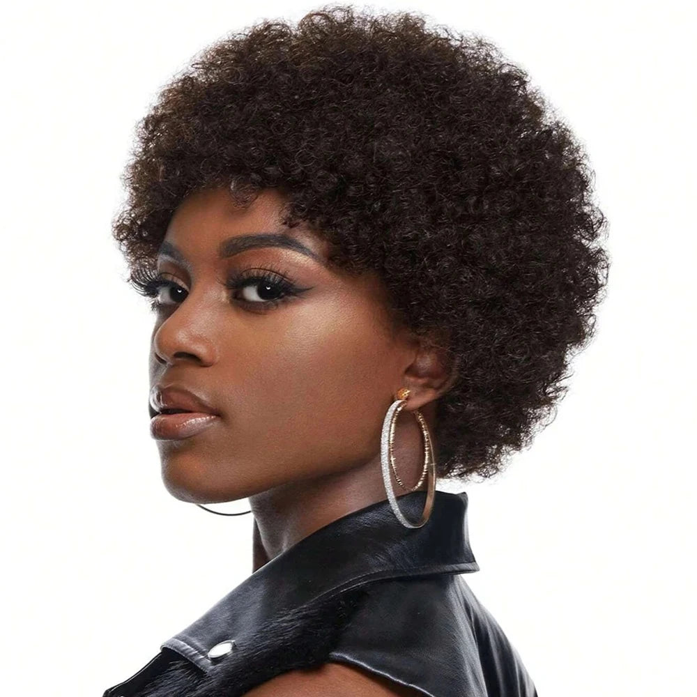 Afro Kinky Curly Black Natural Human Hair Wig