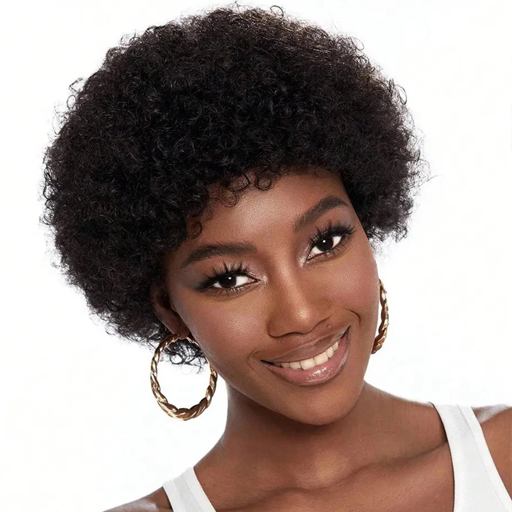 Afro Kinky Curly Black Natural Human Hair Wig