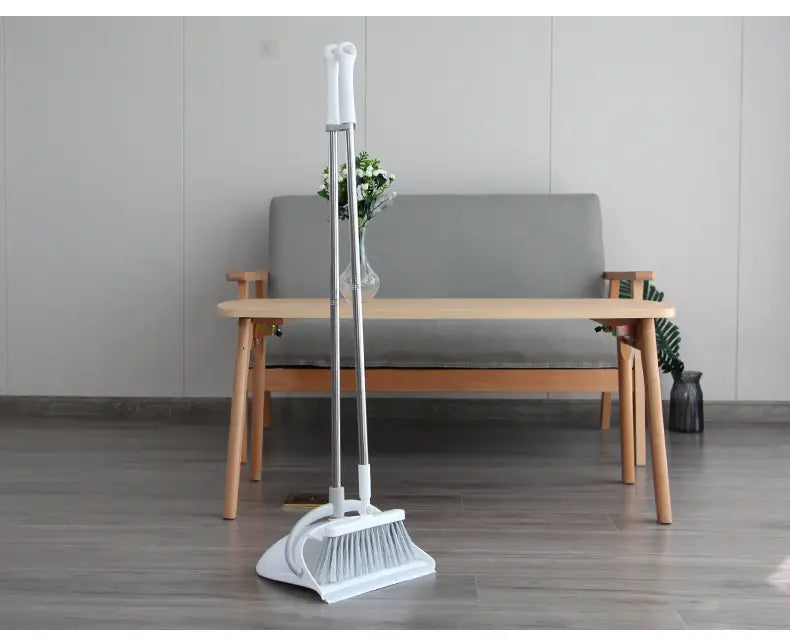 Household Dustpan and Long Handle Broom Set (1 Set)