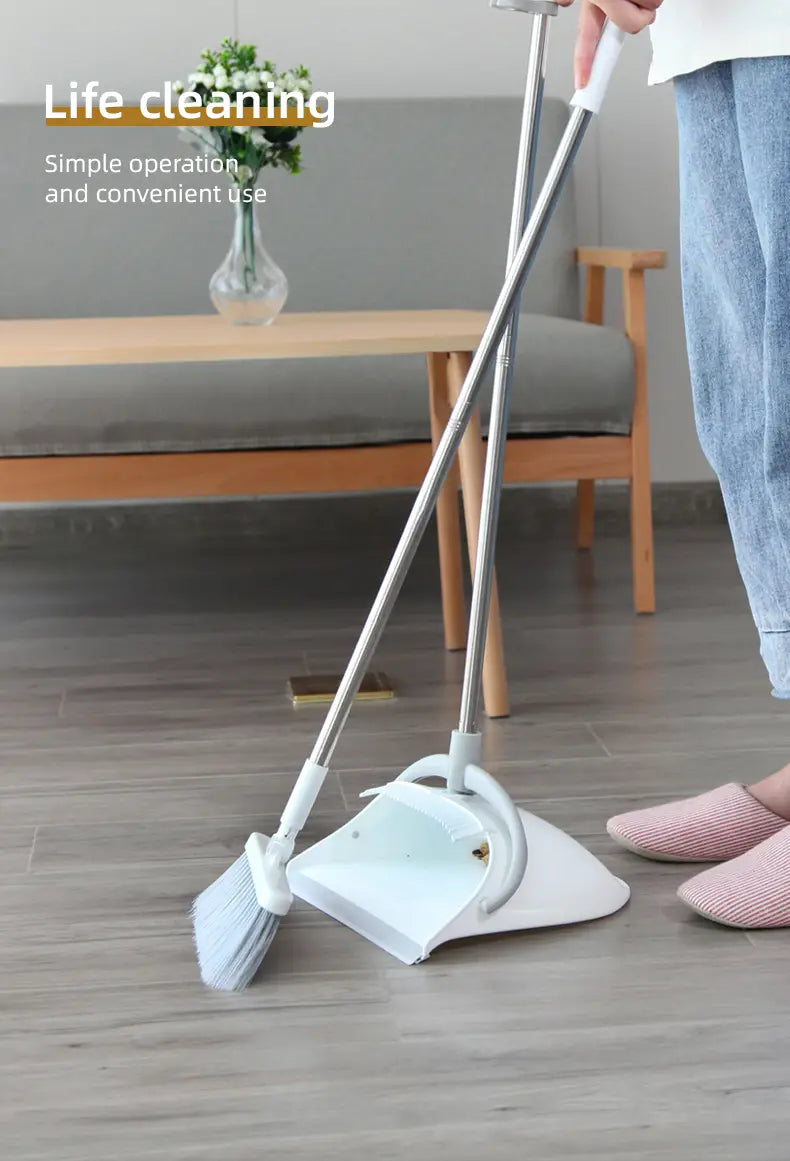 Household Dustpan and Long Handle Broom Set (1 Set)