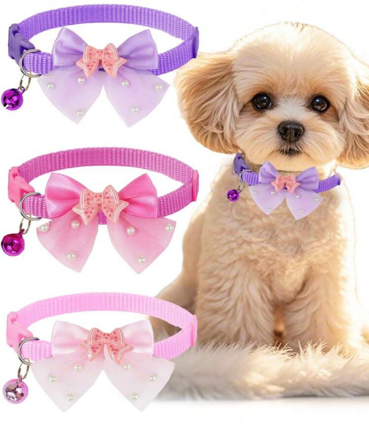 Pet Supplies