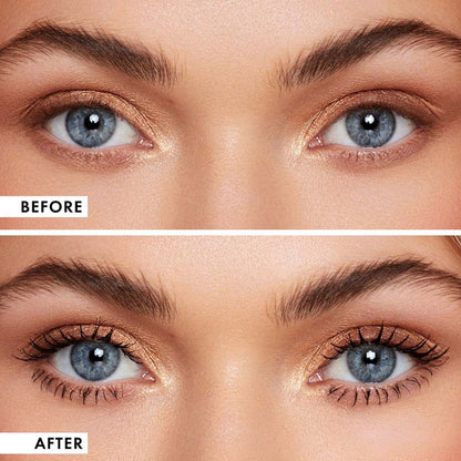 PHOFAY Complete Eye Look Bundle
