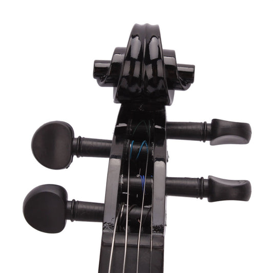 Black Acoustic Violin