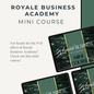 Royale Business Academy Mini Course