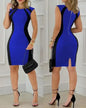 Women's Dresses Fashion Elegant Colorblock Round Neck Sleeveless Casual Bodycon Mini Daily Dress for Female